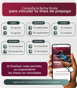 linea