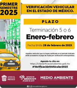 verificacion